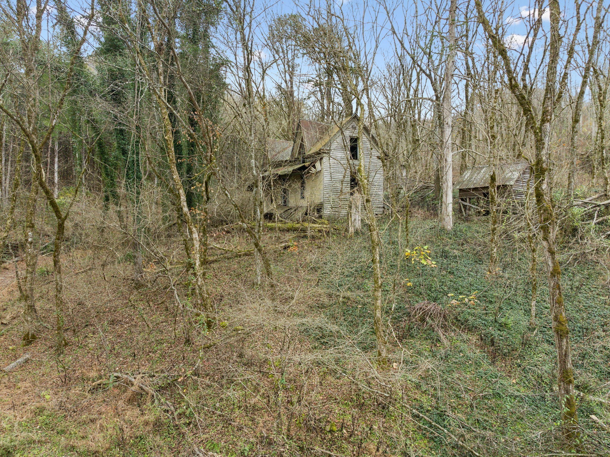 0 Long Branch Road Lancaster, TN 38569 - Photo 7 of 47