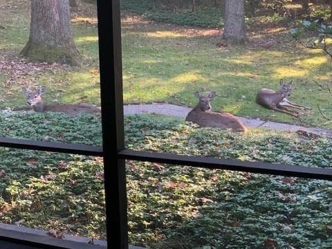 400 Winnerwood Road Pittsburgh, PA 15237 - Photo 21 of 23