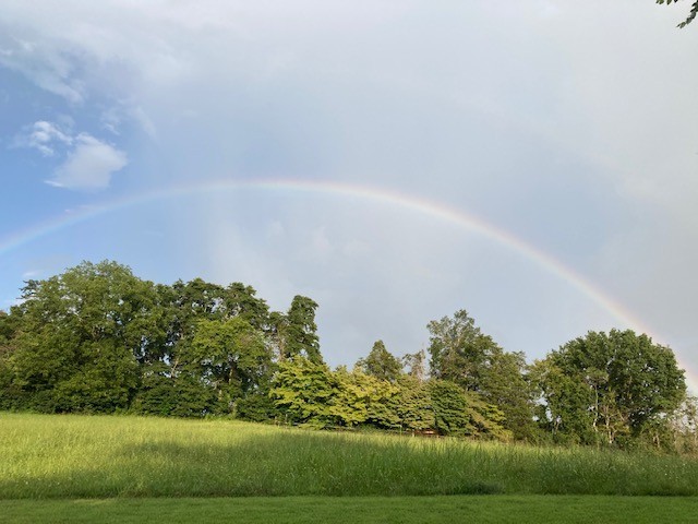 135 Gad Redd Road Tullahoma, TN 37388 - Photo 8 of 68 Gallery Image 8