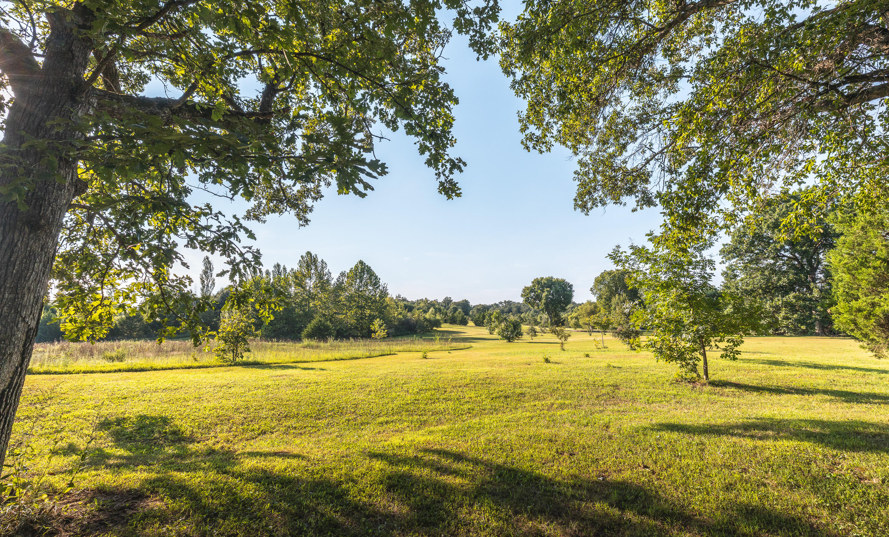 81 Meadowlark Road Brumley, MO 65017 - Photo 66 of 74 7U8A9643