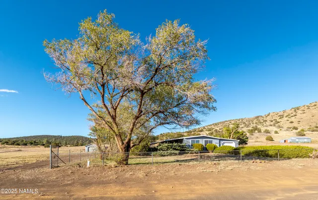 a front view of a house with a yard and potted plants