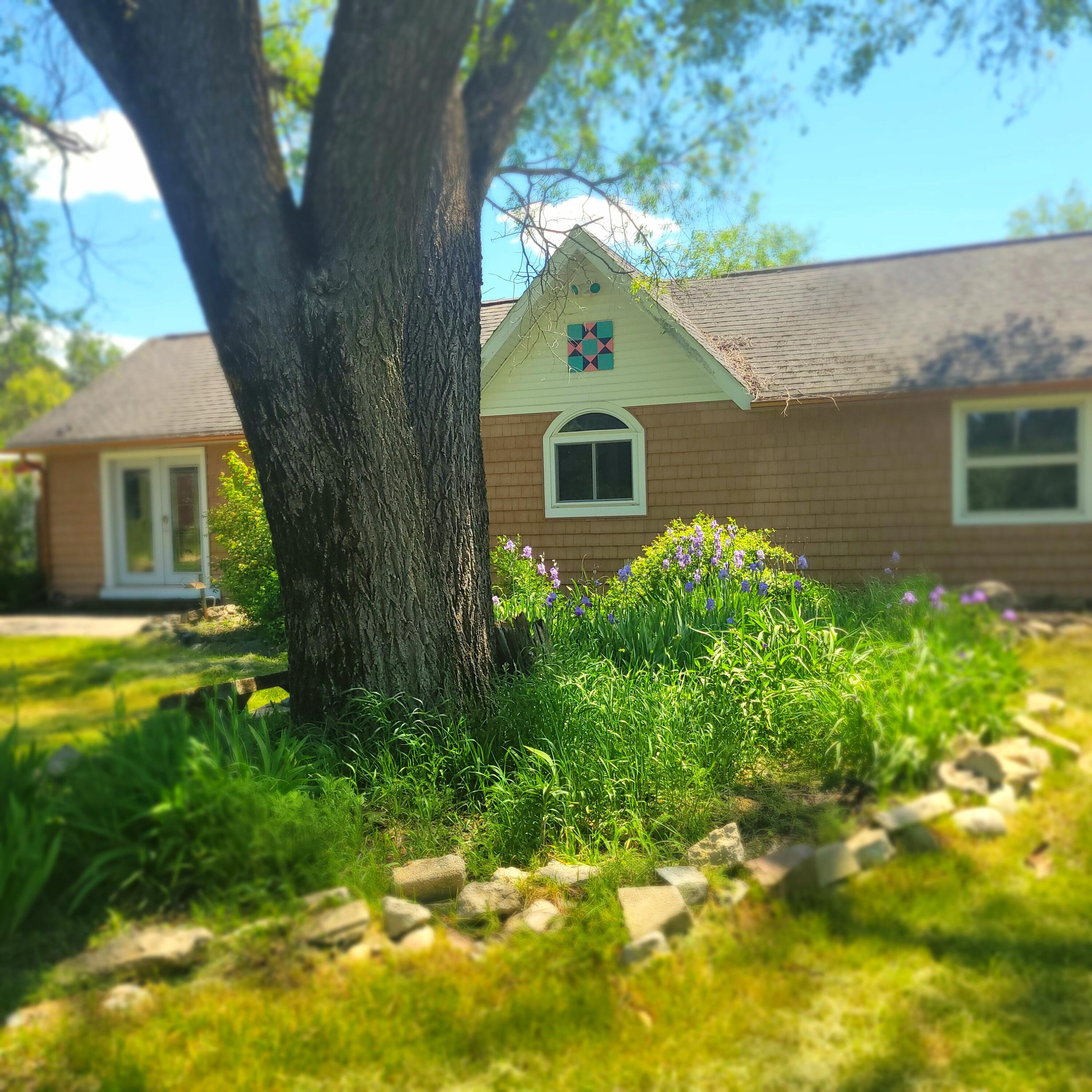 13625 Potter Road Bear Lake, MI 49614 - Photo 2 of 25 1000027108