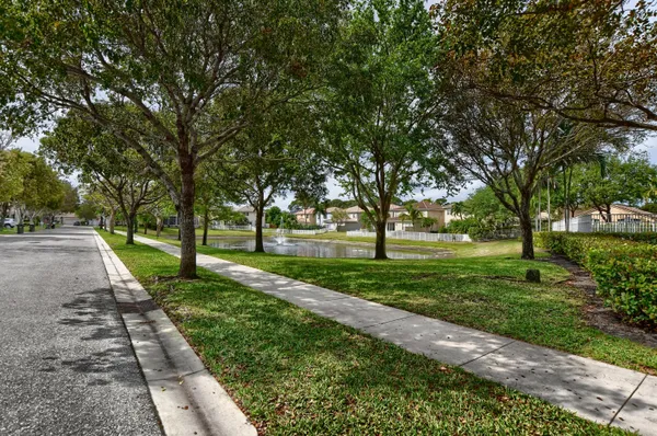 a view of park with trees