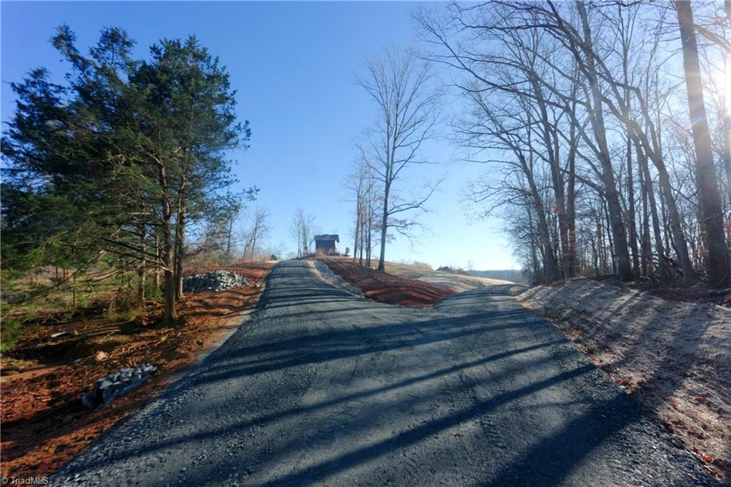 2 Roby Fulk Road Pinnacle, NC 27043 - Photo 5 of 24