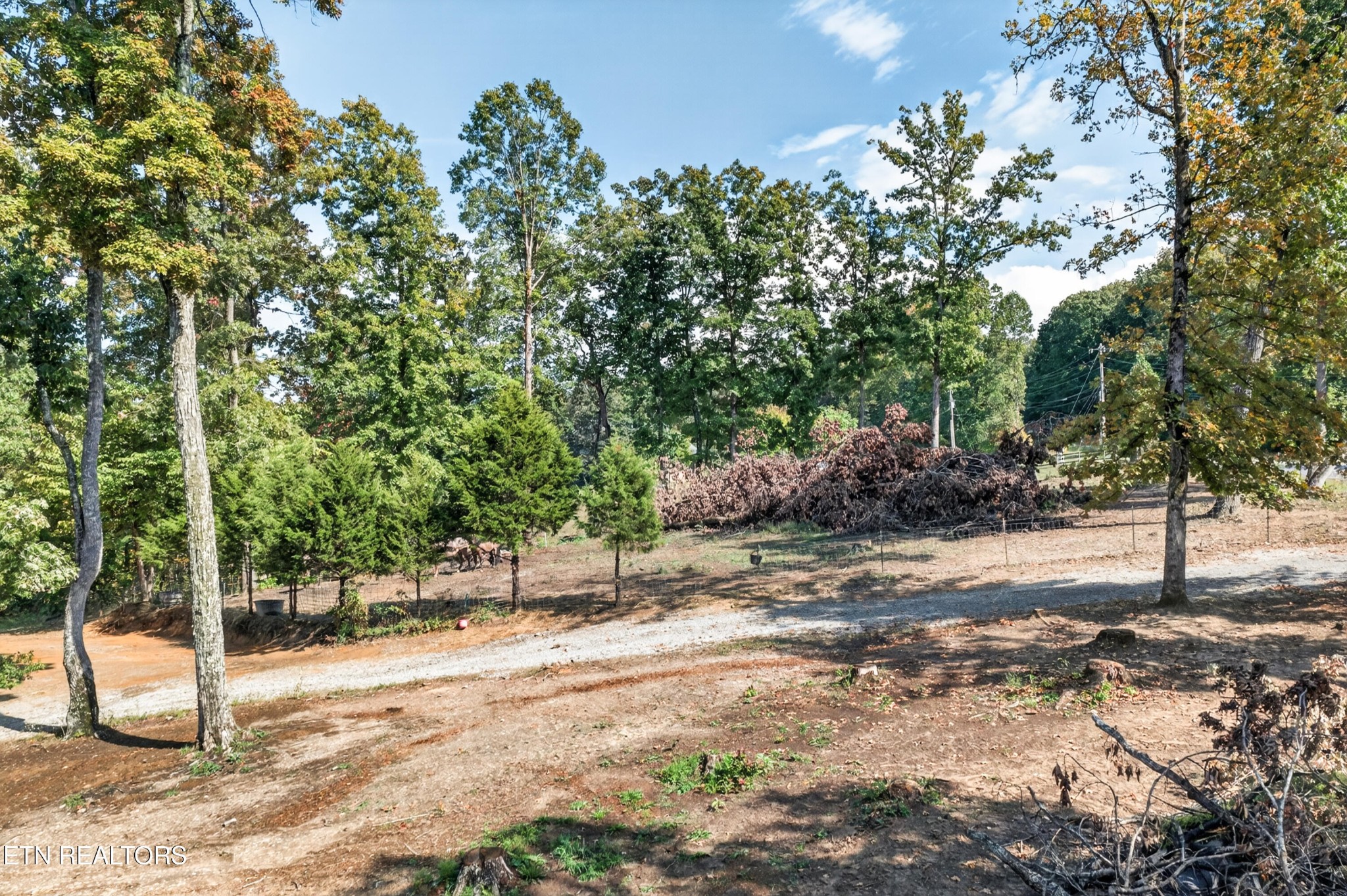 2882 Brewer Road Crossville, TN 38572 - Photo 9 of 37 Gallery Image 9
