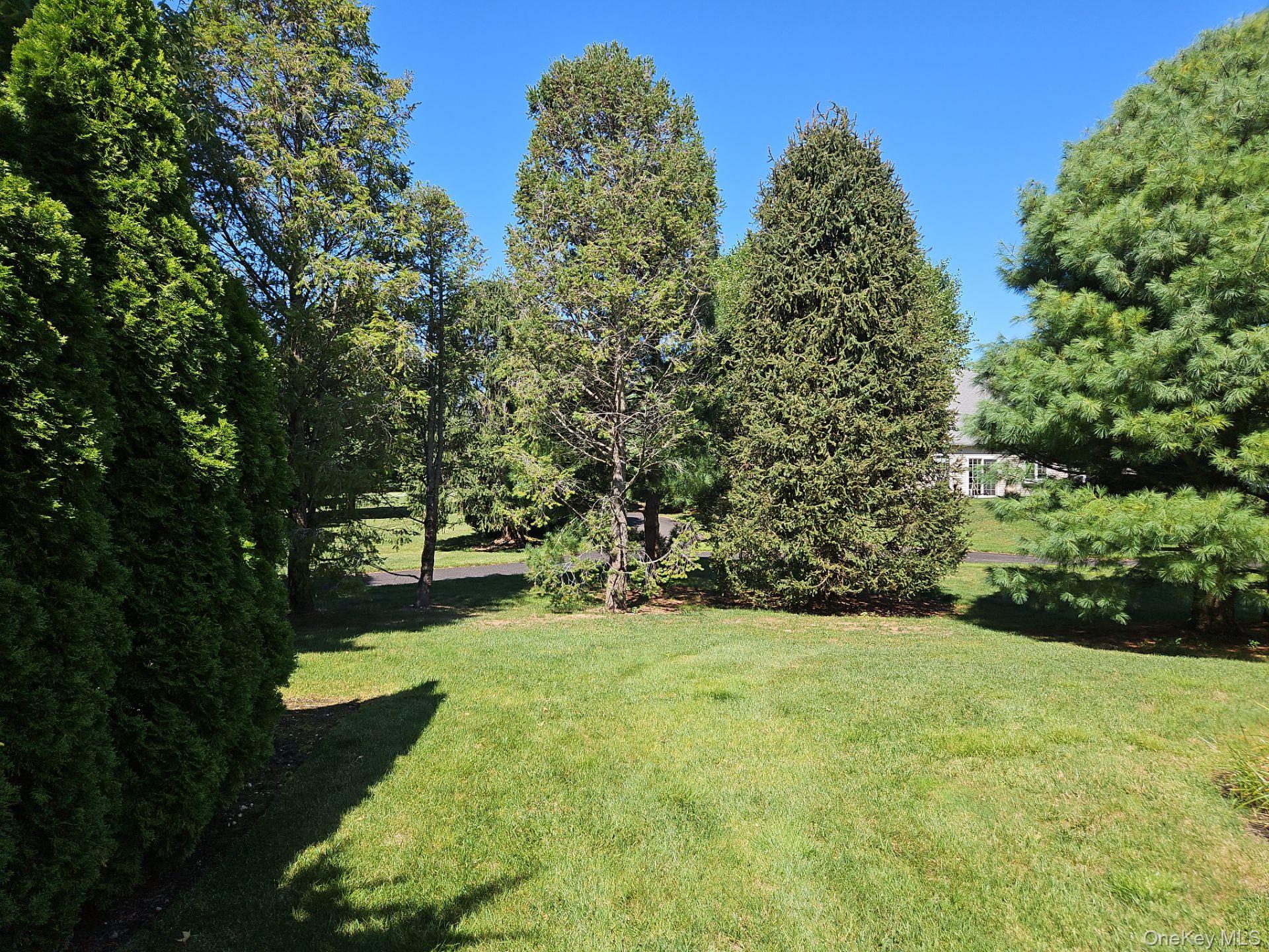 68 Louden Loop Mount Sinai, NY 11766 - Photo 16 of 16