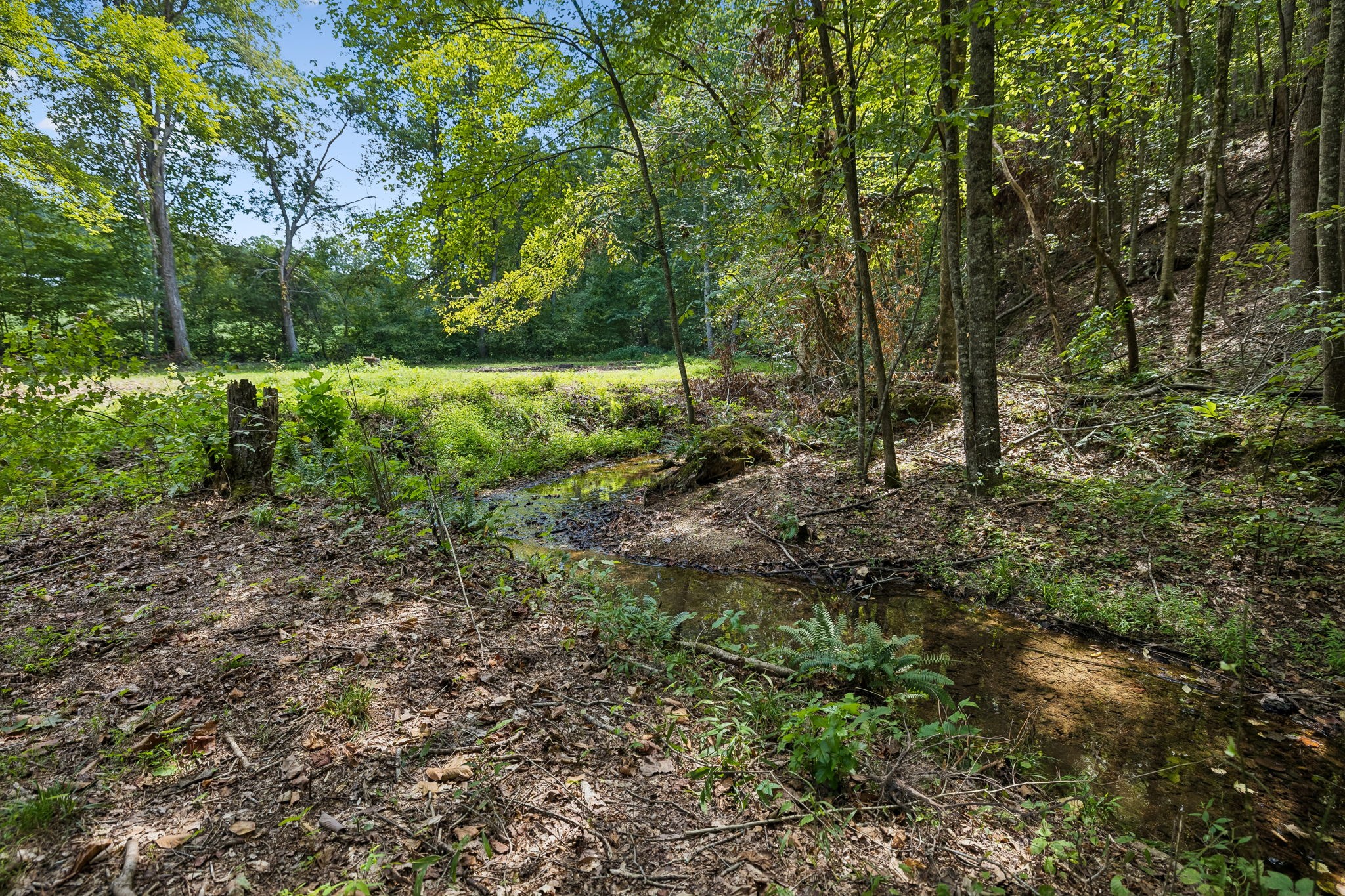 1252 Kelly Road Centerville, TN 37033 - Photo 29 of 41 Gallery Image 29