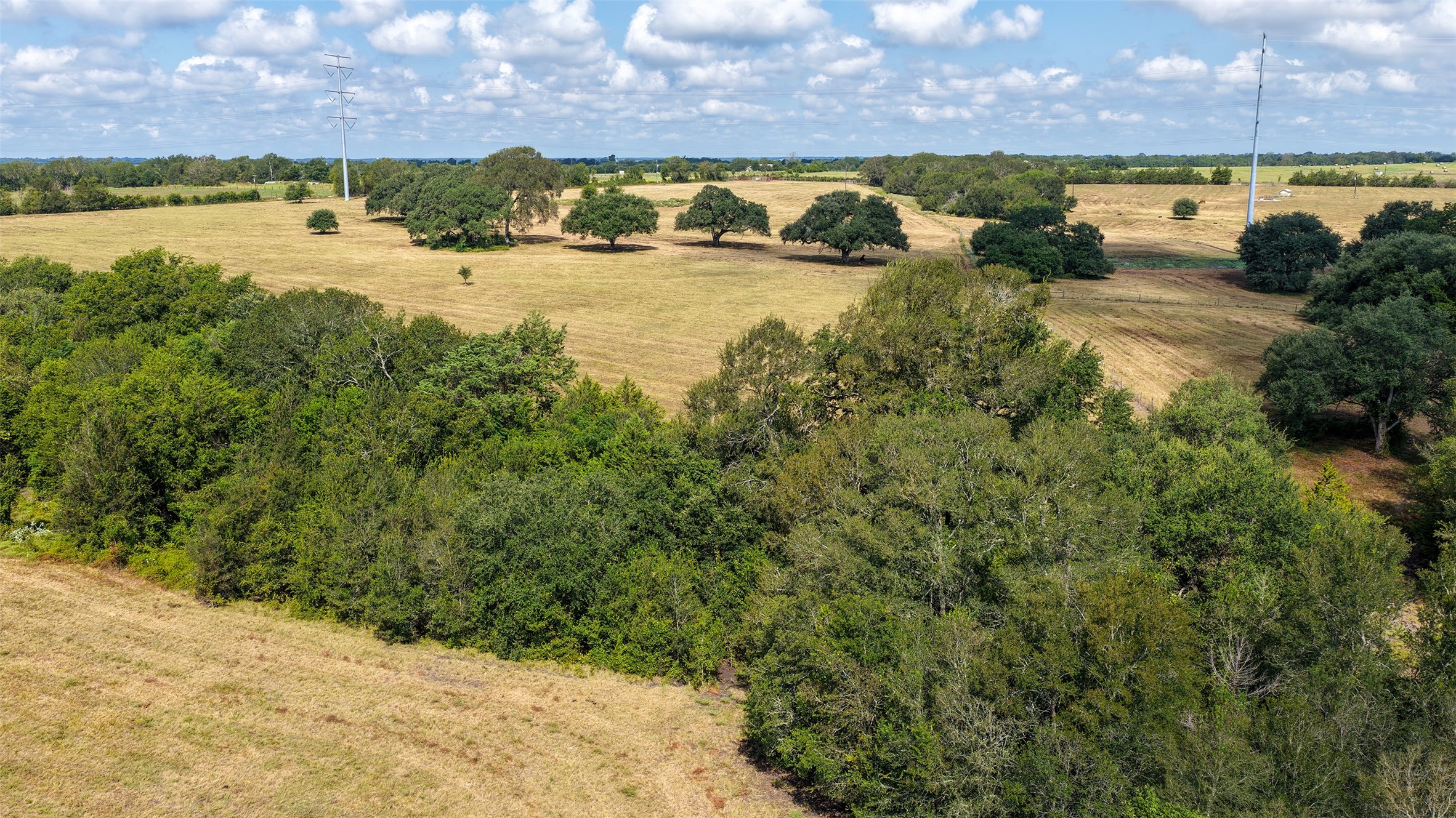 3 Zetter Road Brenham, TX 77833 - Photo 8 of 24 Gallery Image 8