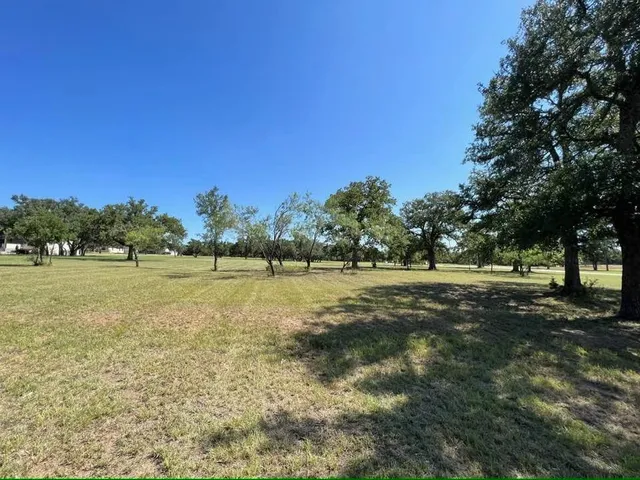 a view of a field with trees