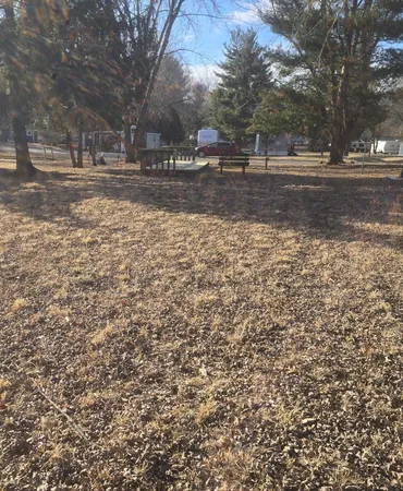 a view of a yard with trees