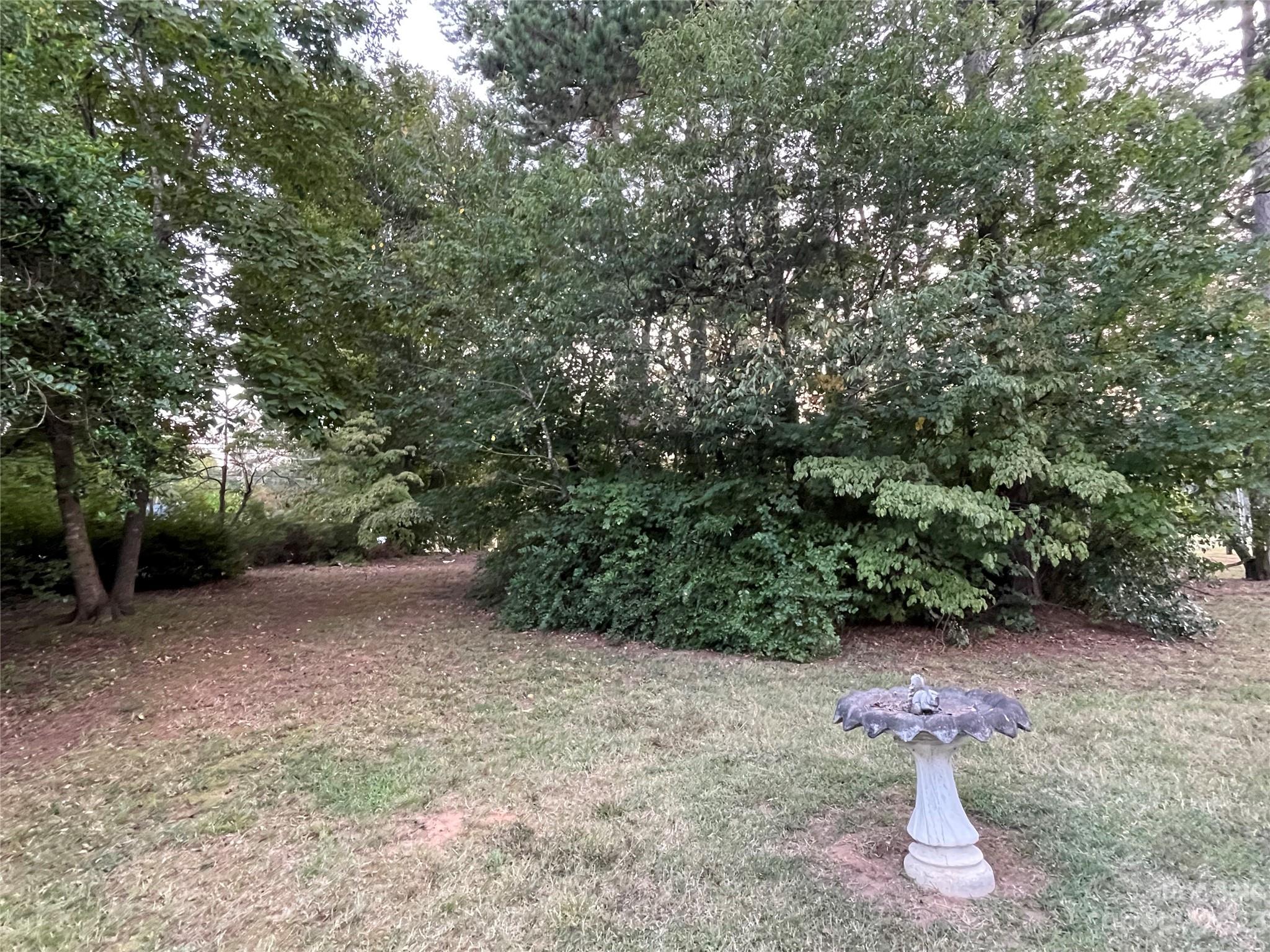 3270 West Innes Street Salisbury, NC 28144 - Photo 11 of 33 a view of a forest with trees