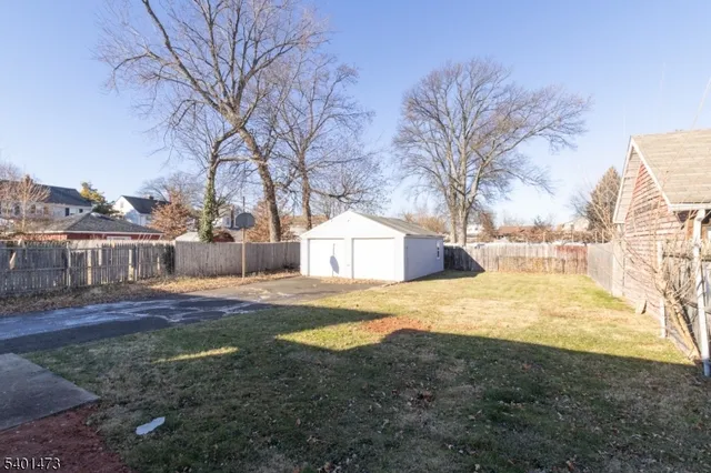 a view of a yard with a large tree