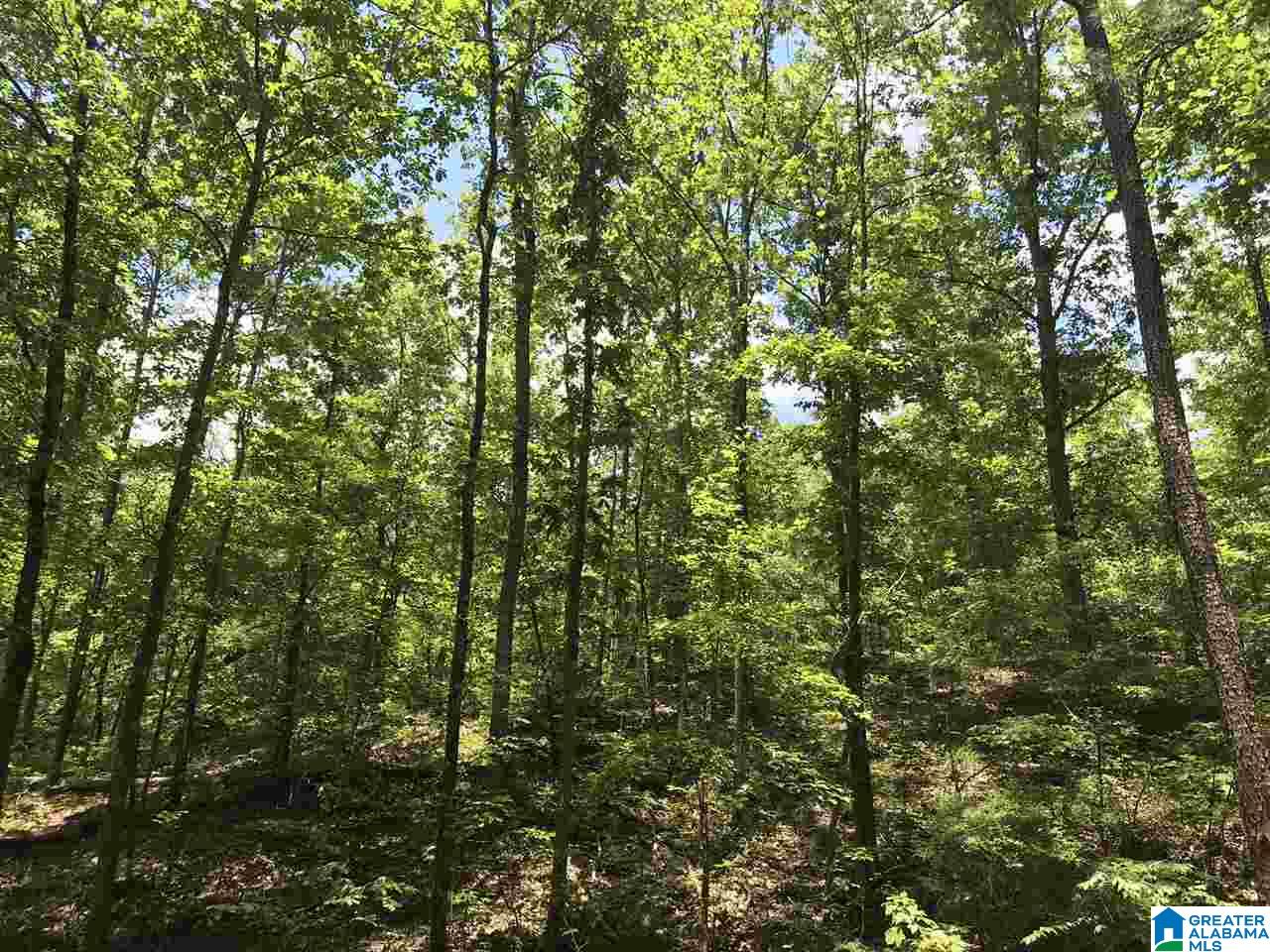 708 County Road, Unit 5 4 Verbena, AL 36091 - Photo 3 of 16