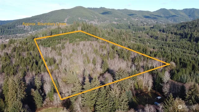 a view of a forest from a mountain view