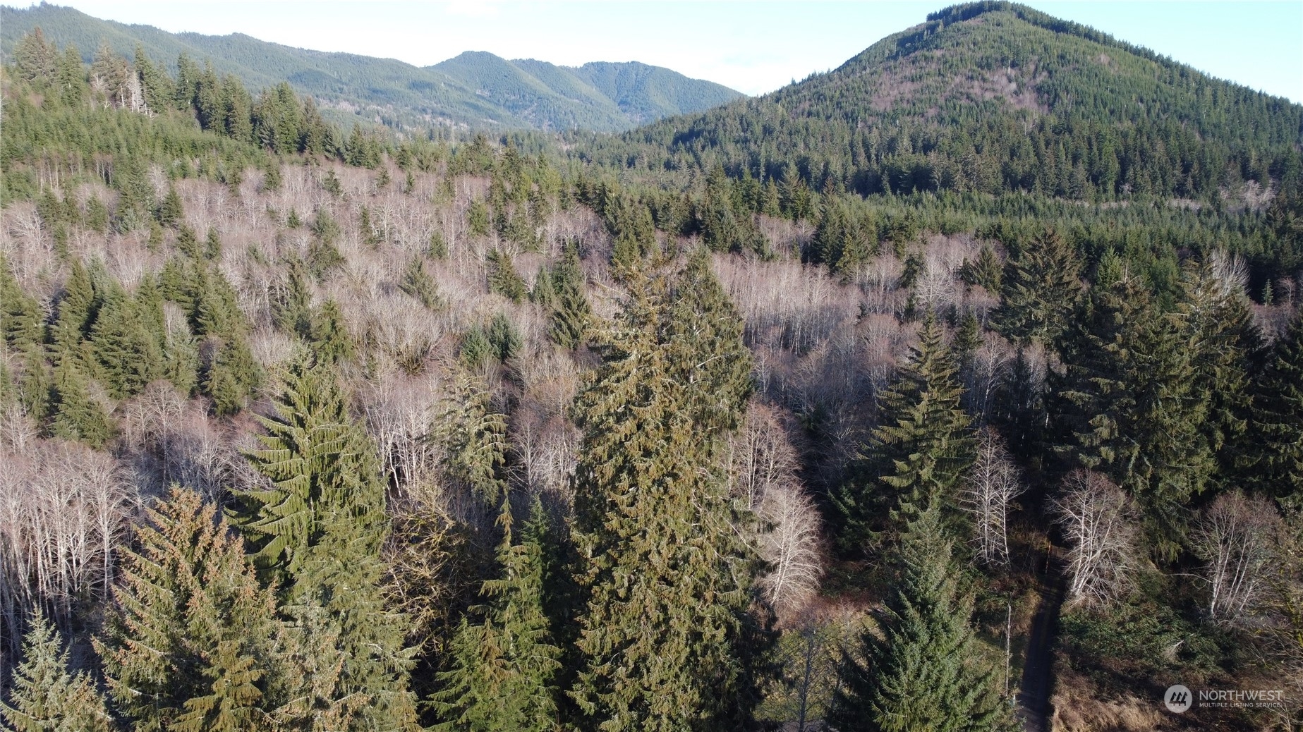 999 Grant Road Port Angeles, WA 98363 - Photo 4 of 9