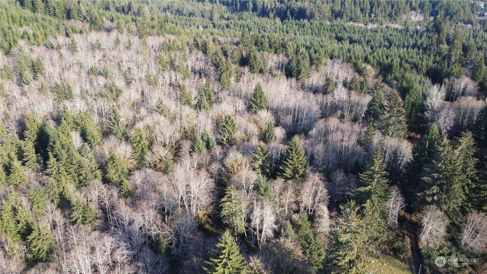 999 Grant Road Port Angeles, WA 98363 - Photo 5 of 9