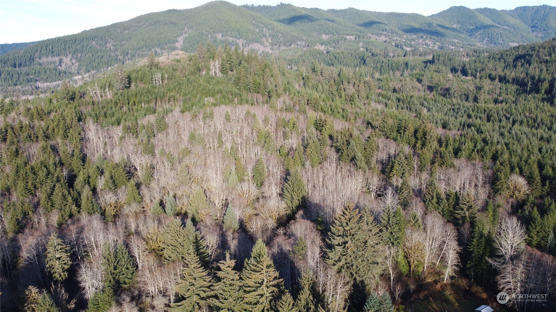 999 Grant Road Port Angeles, WA 98363 - Photo 6 of 9