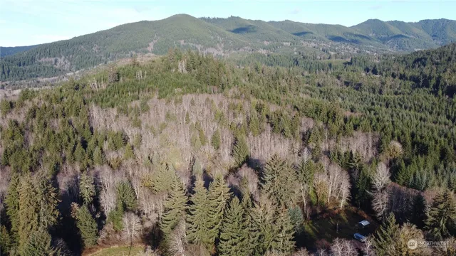 a view of a lush green hillside and a mountain