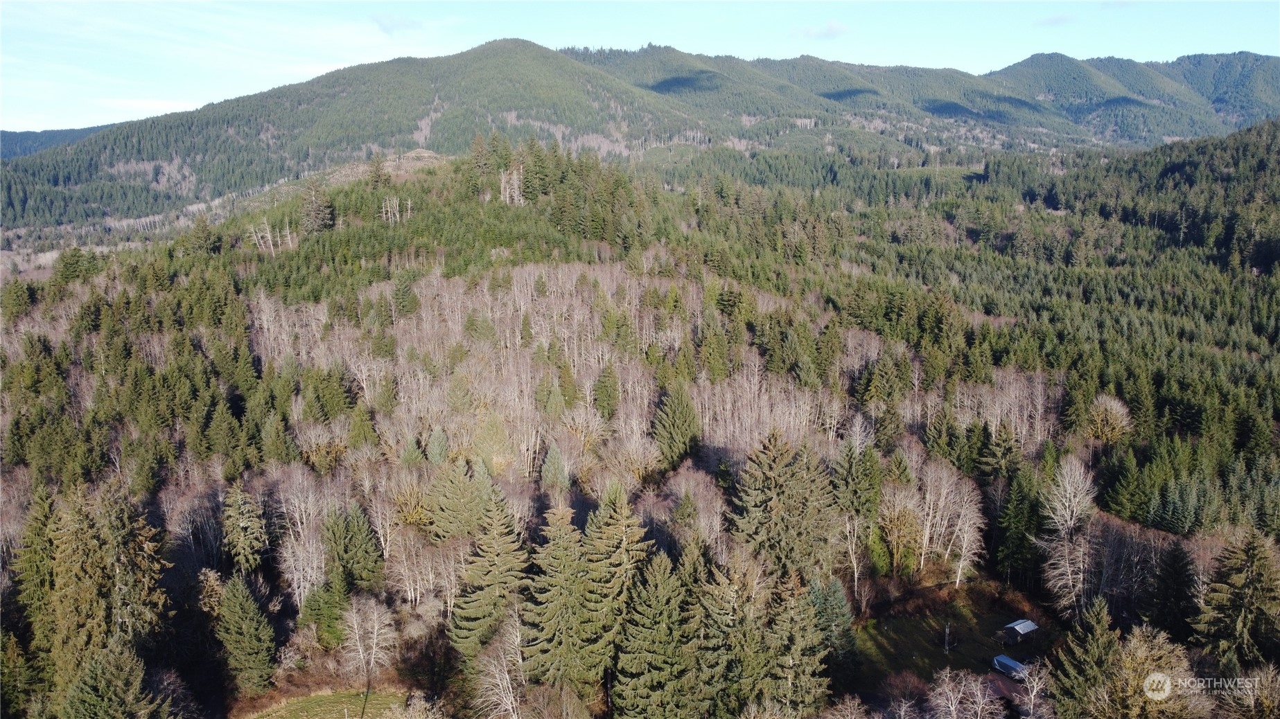 999 Grant Road Port Angeles, WA 98363 - Photo 7 of 9