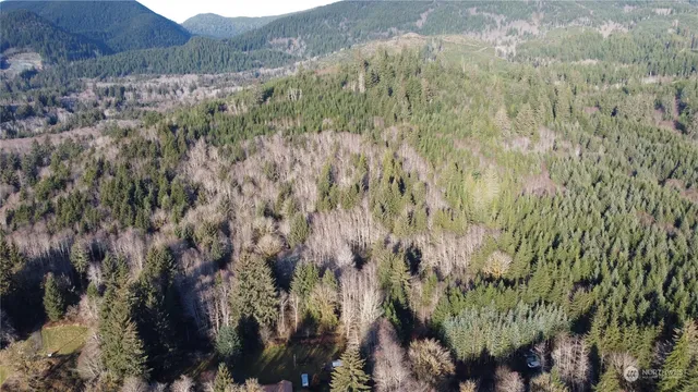 a view of a forest with a forest