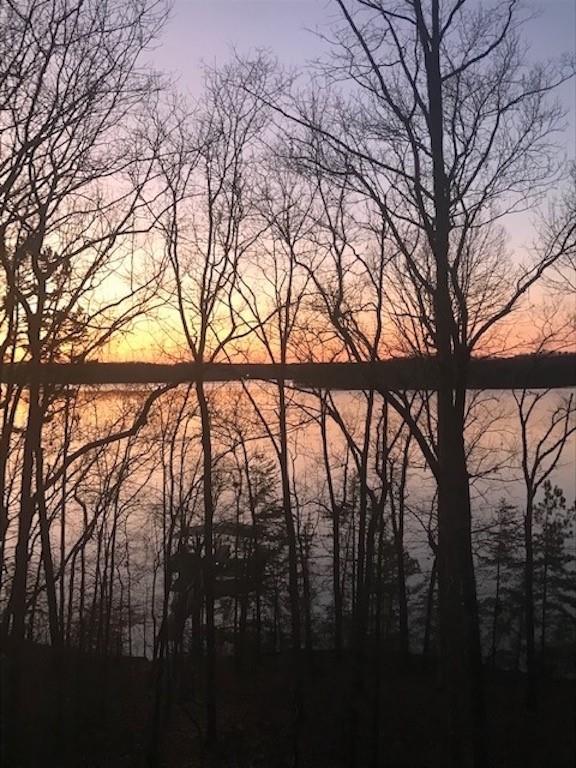 a view of trees and covered with trees