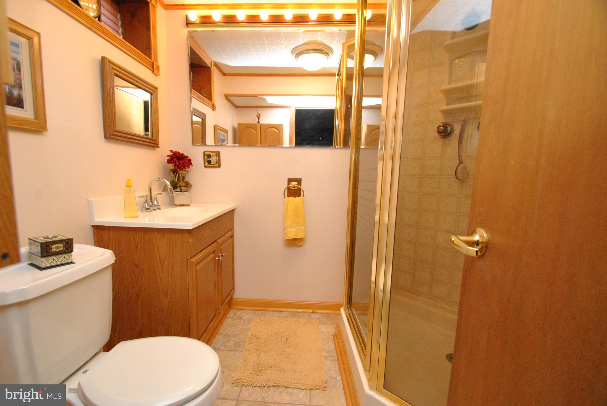 9205 Sandra Park Road Perry Hall, MD 21128 - Photo 25 of 30 FULL BATH IN LOWER LEVEL