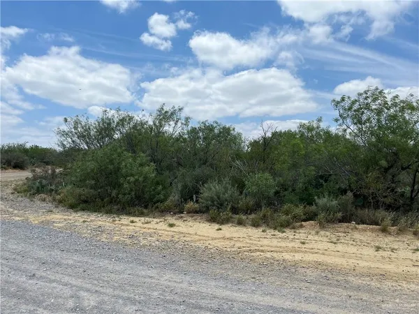$16,000 | 319 Pelican Street, Zapata, TX 78076