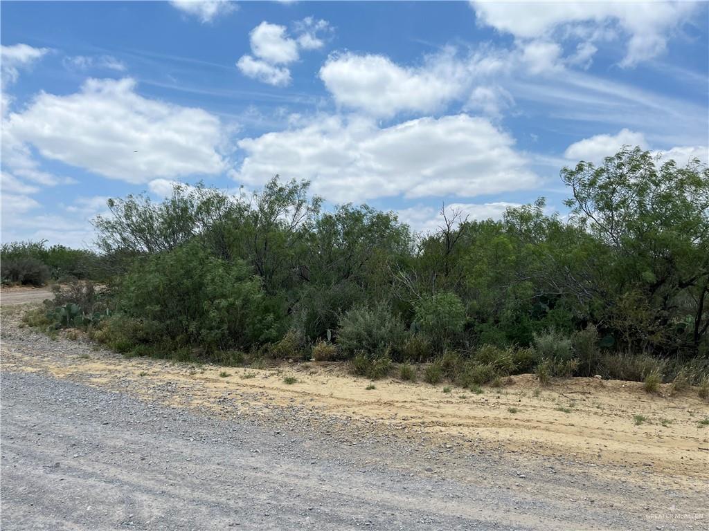 319 Pelican Street Zapata, TX 78076 - Photo 1 of 5