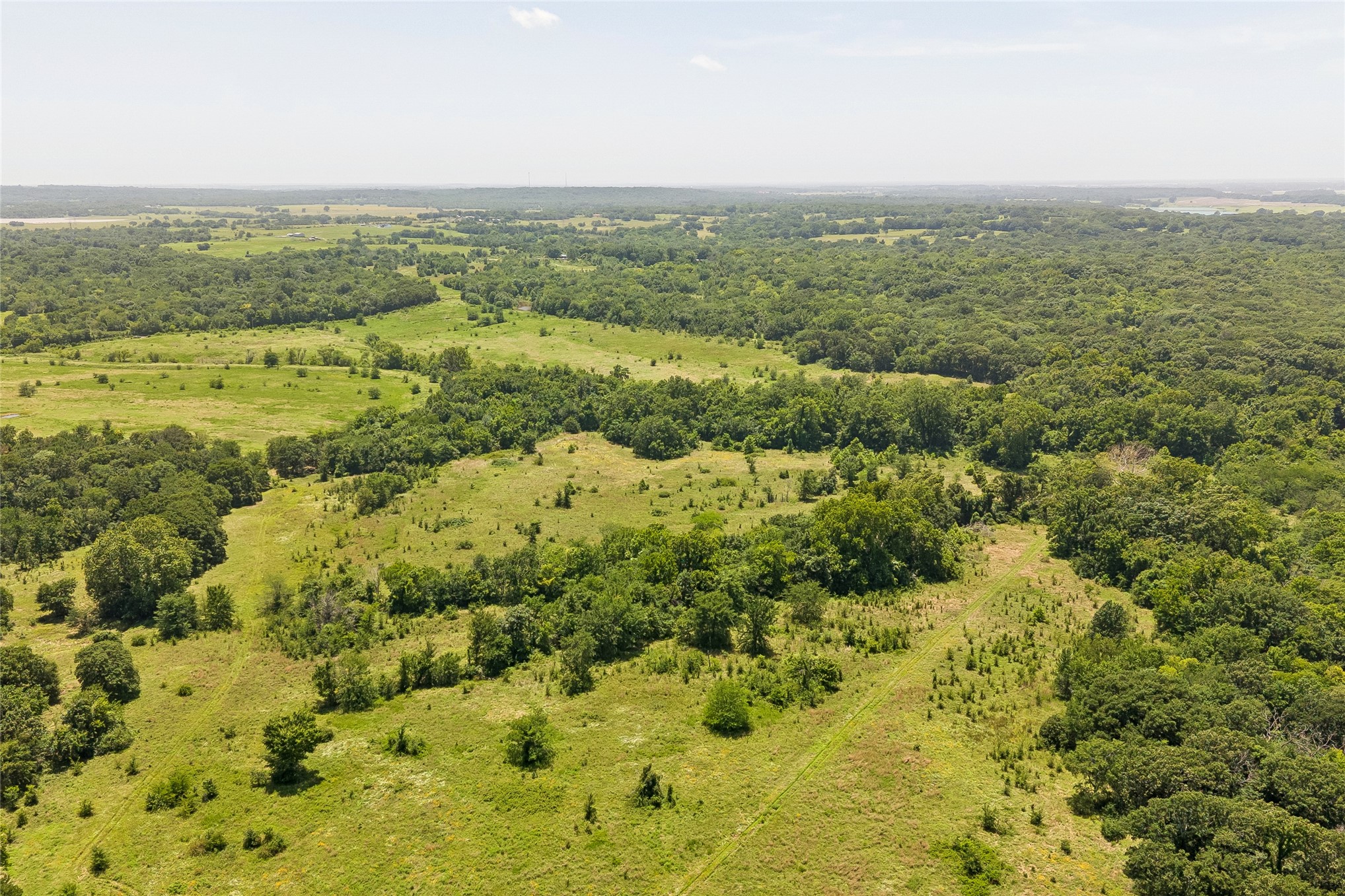 Expansive natural landscape featuring a mix of mature trees and open grassy areas
