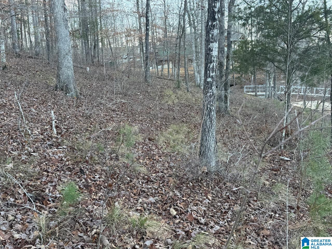 0 Edgewater Bend, Unit 29 Double Springs, AL 35553 - Photo 17 of 18