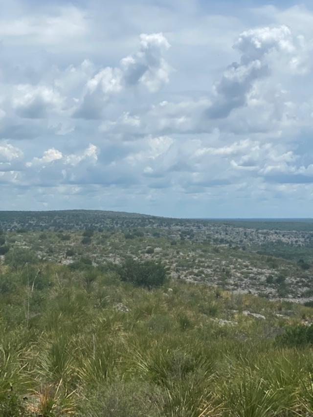 0 Fm 2523 Del Rio, TX 78840 - Photo 10 of 28