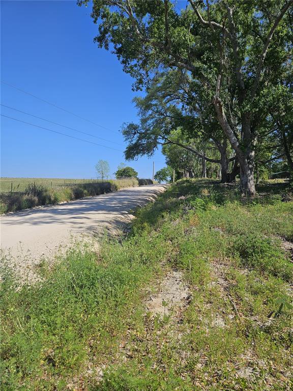 0 Southwest Mixson Road Lake City, FL 32024 - Photo 20 of 34 Gallery Image 20