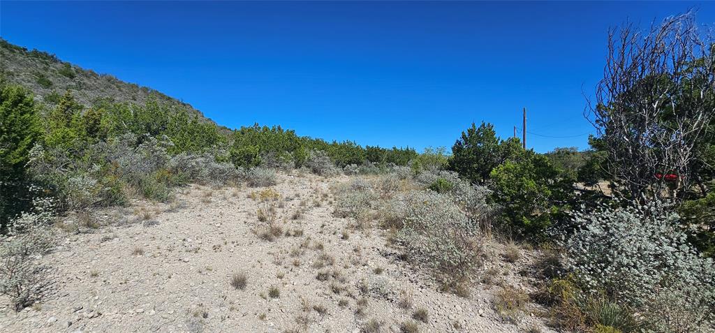 925 Highway 83 Junction, TX 76849 - Photo 22 of 27 a view of a dry yard with trees in the background
