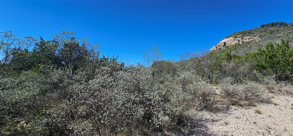 925 Highway 83 Junction, TX 76849 - Photo 23 of 27 a view of a forest