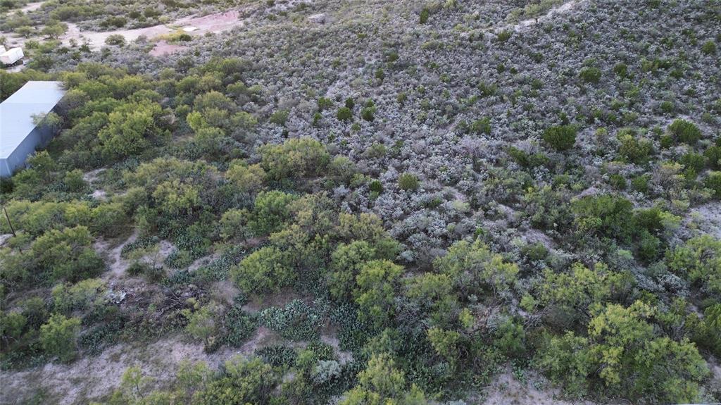 925 Highway 83 Junction, TX 76849 - Photo 5 of 27 a view of a forest with trees all around