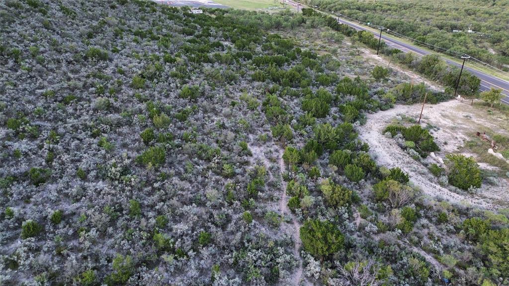 925 Highway 83 Junction, TX 76849 - Photo 6 of 27 a view of a forest with a street