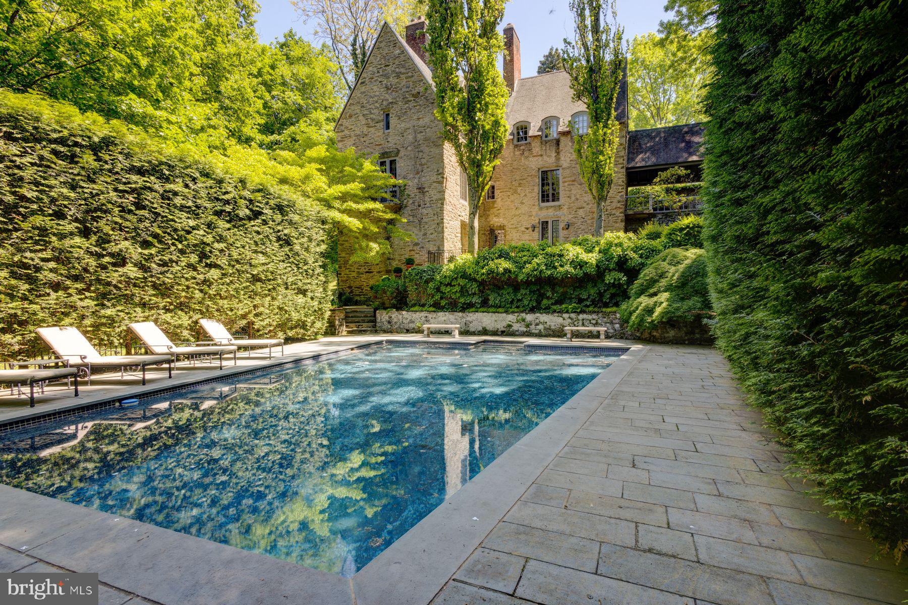 a view of a garden with plants
