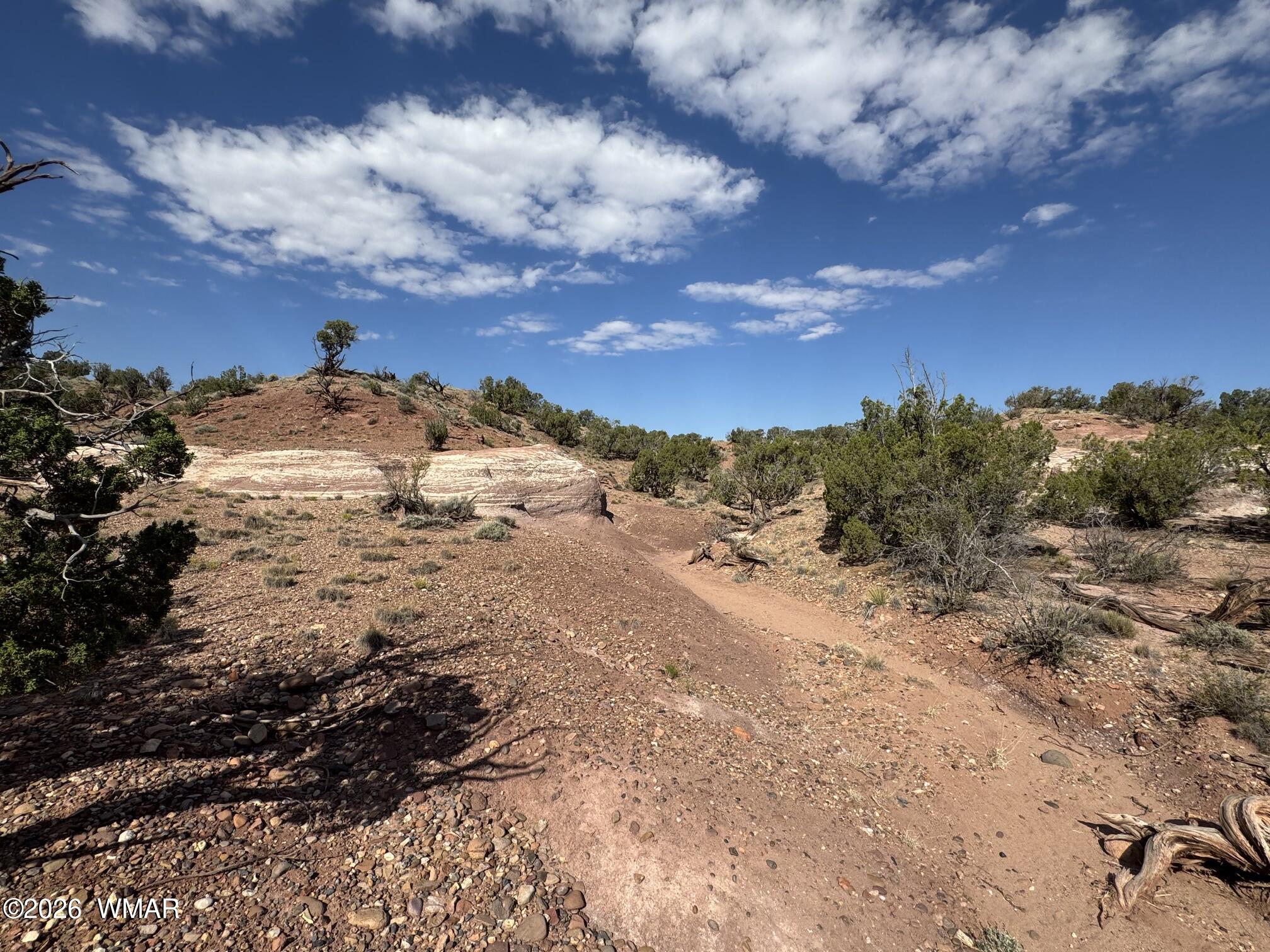 9463 Uttecht Trail Snowflake, AZ 85937 - Photo 47 of 50