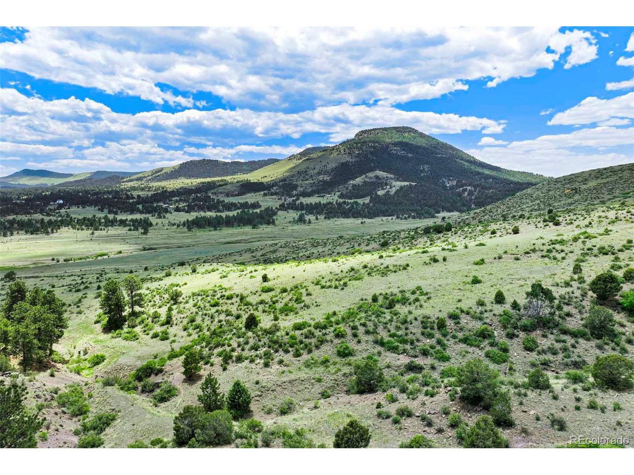 3 County Road 102 Guffey, CO 80820 - Photo 14 of 16 a view of a lush green hillside and houses