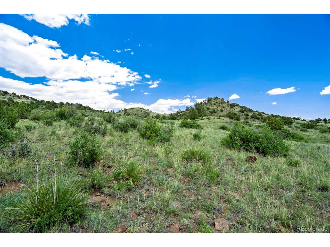 3 County Road 102 Guffey, CO 80820 - Photo 5 of 16 a view of a big yard with lots of green space