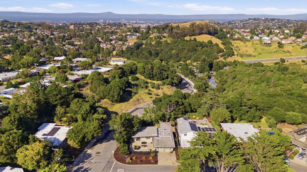 2203 Allegheny Way San Mateo, CA 94402 - Photo 48 of 56 view of city and mountain