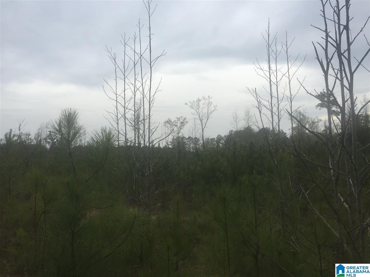 12 Highway Of Bishop Ridge Road, Unit CORNER West Blocton, AL 35184 - Photo 4 of 6