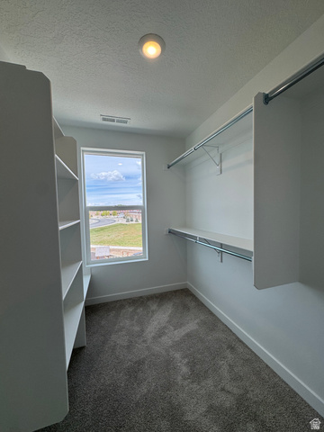 1876 West 1575th North, Unit 237 Layton, UT 84041 - Photo 16 of 20 Walk in closet with dark colored carpet