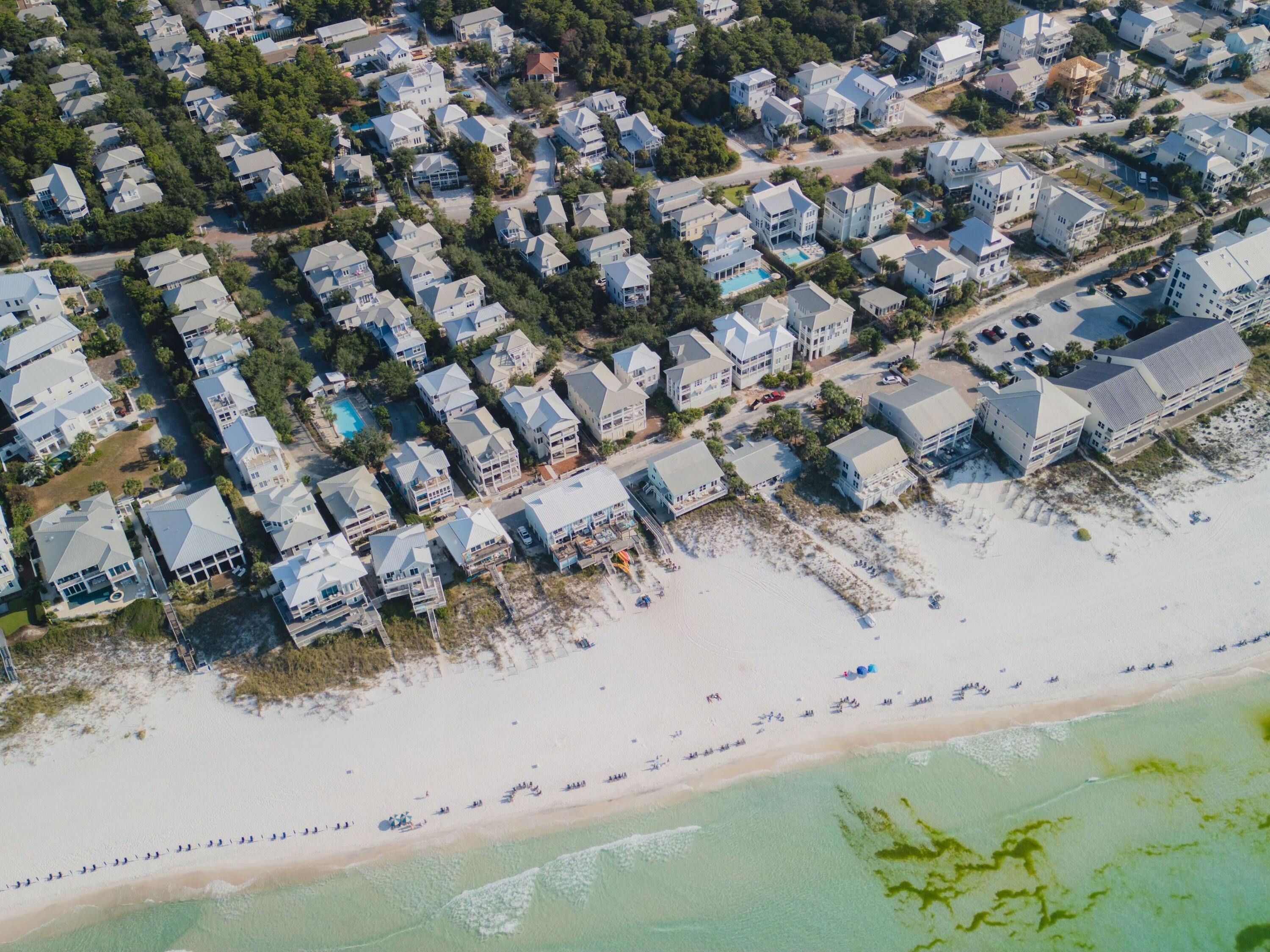 107 Chelsea Loop Road Santa Rosa Beach, FL 32459 - Photo 26 of 28 a view of lot of trees