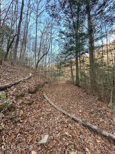 0 Deerhead Road Dunlap, TN 37327 - Photo 27 of 28 27
