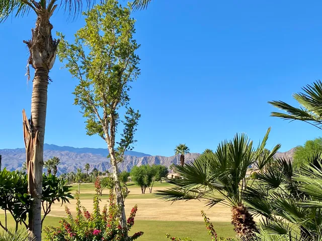 $3,200 | 45385 Big Canyon Street, Indio, CA 92201