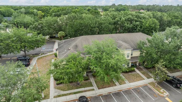 a view of a tree in front of a brick house