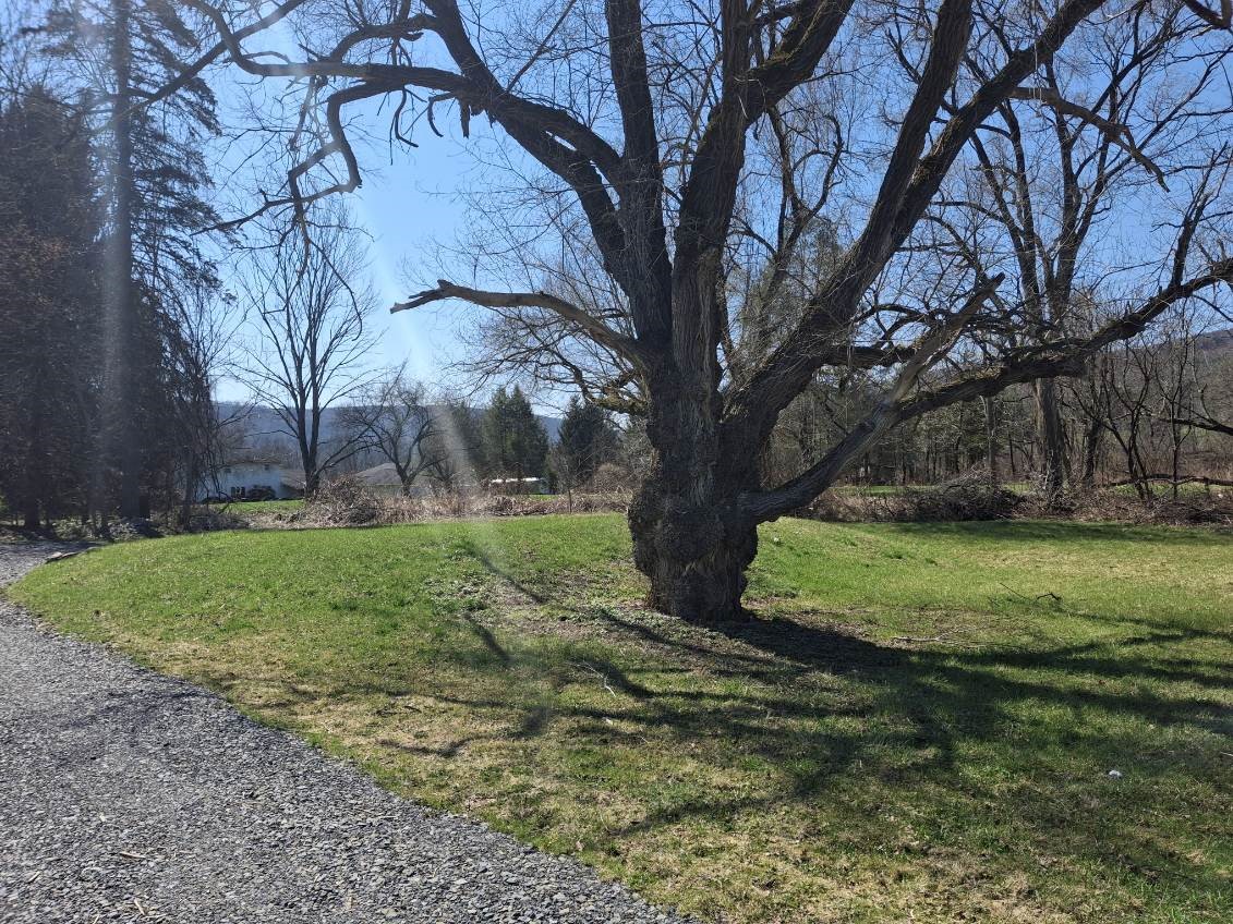 354 Banta Road Conklin, NY 13748 - Photo 3 of 25