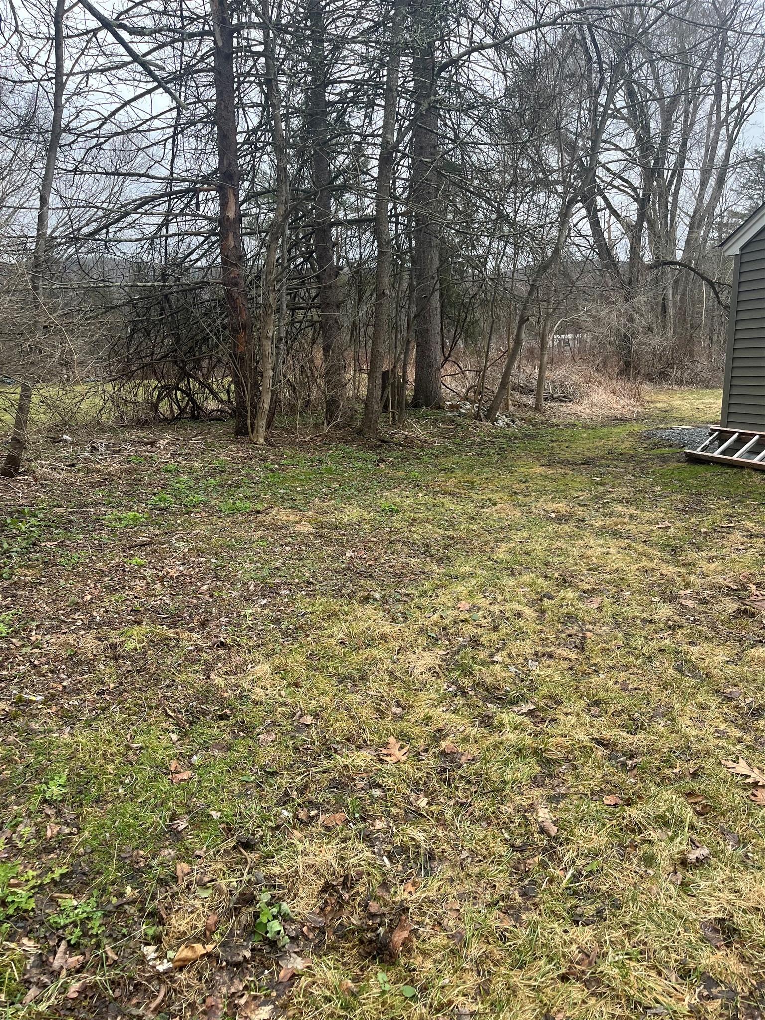 354 Banta Road Conklin, NY 13748 - Photo 6 of 24