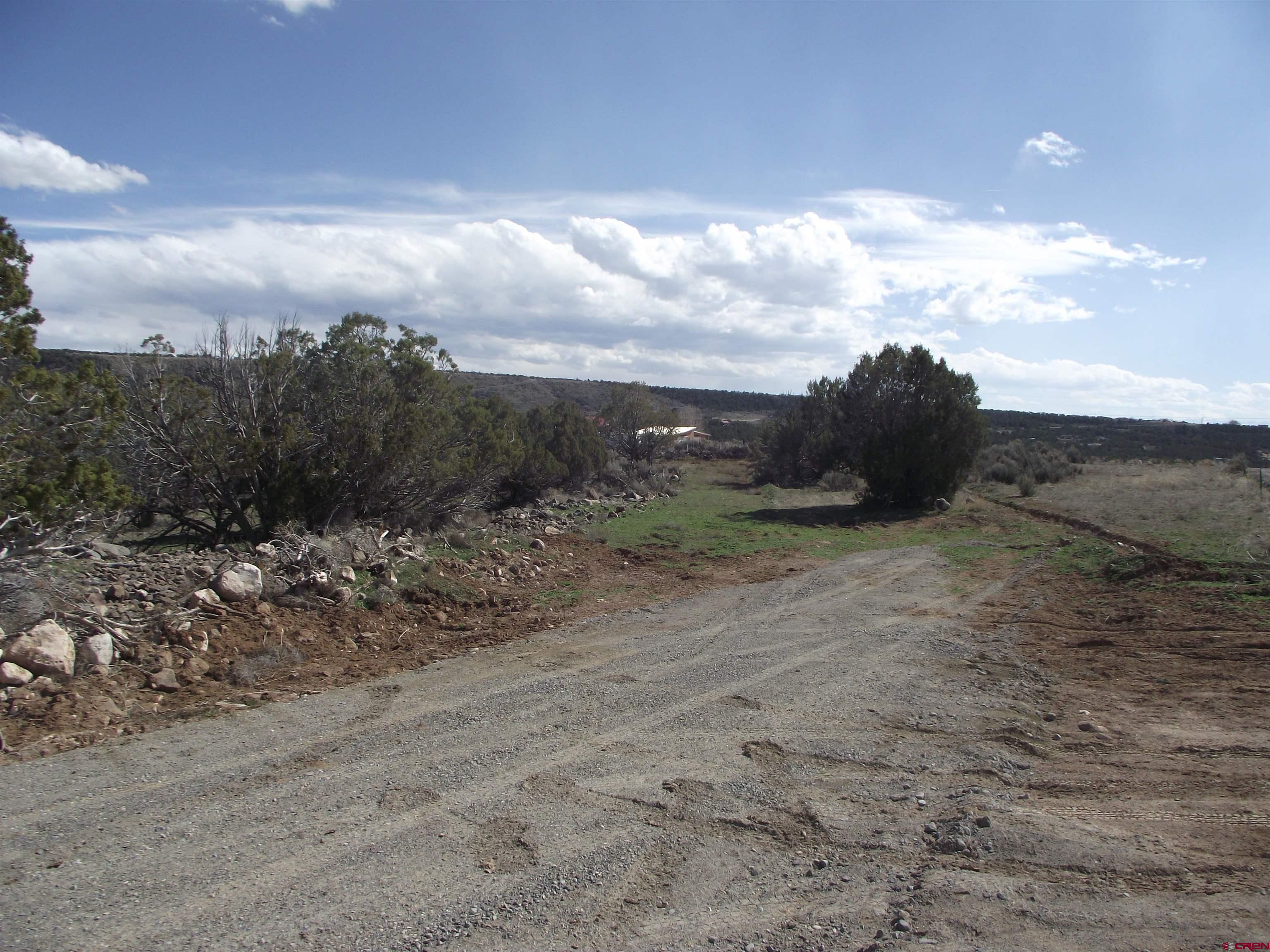 15842 Heavens View Road Cedaredge, CO 81413 - Photo 17 of 28 a view of a dry yard with wooden fence